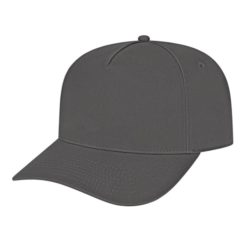 Hometown 5 Panel