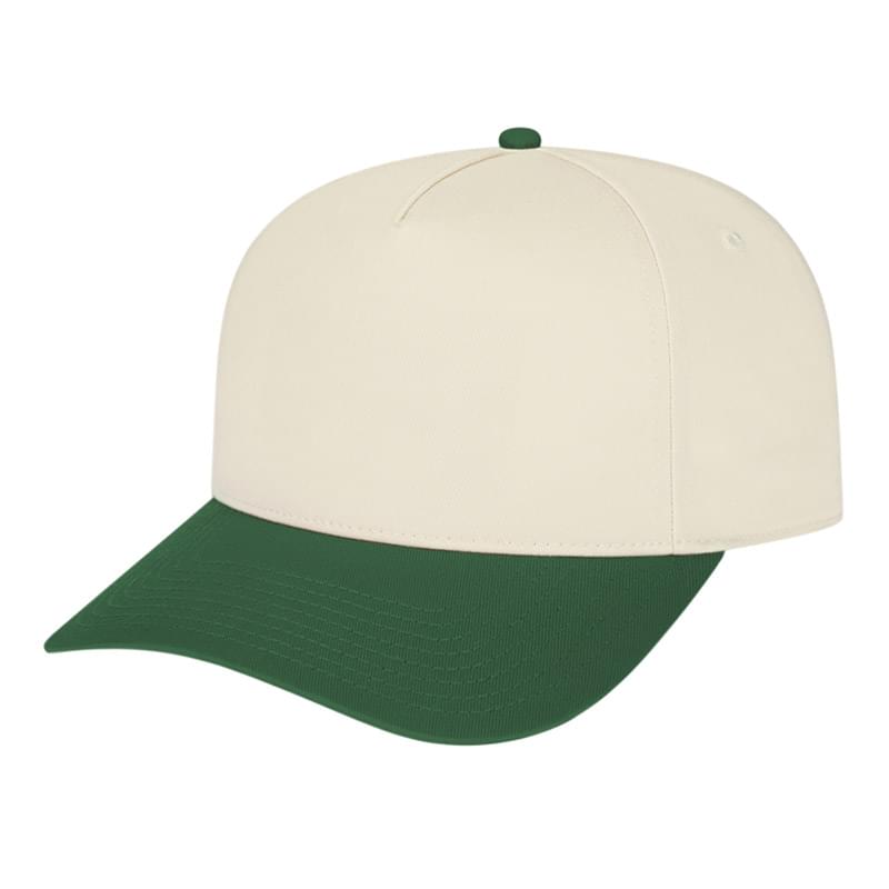 Hometown 5 Panel