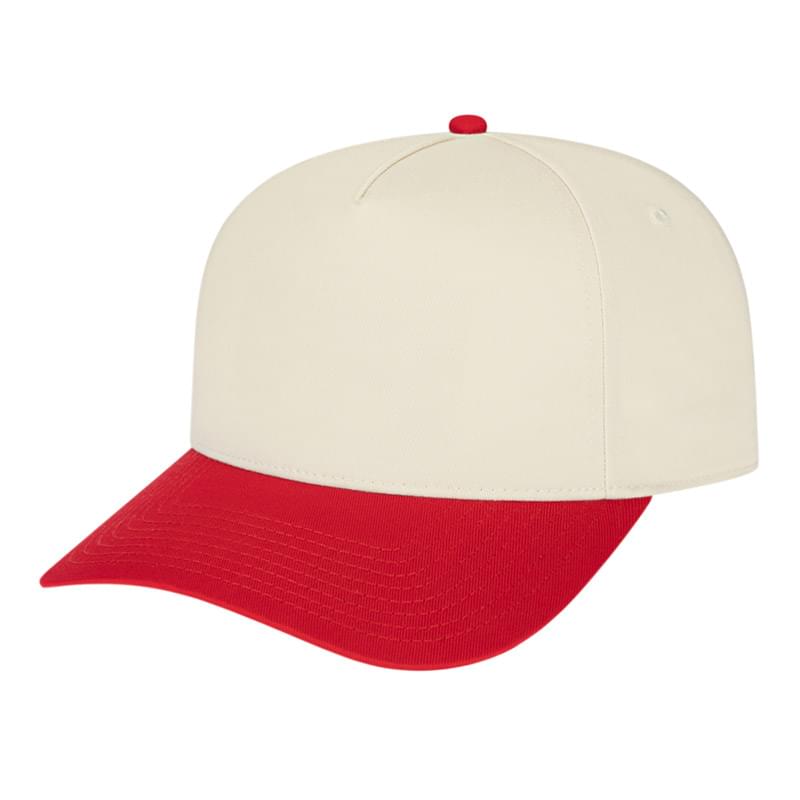 Hometown 5 Panel
