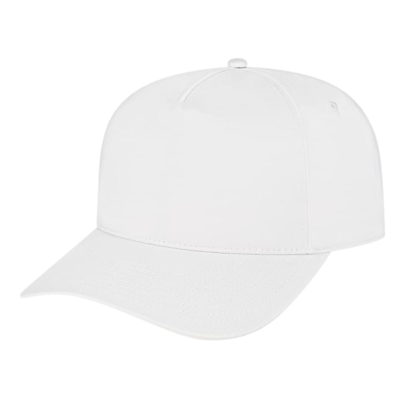 Hometown 5 Panel